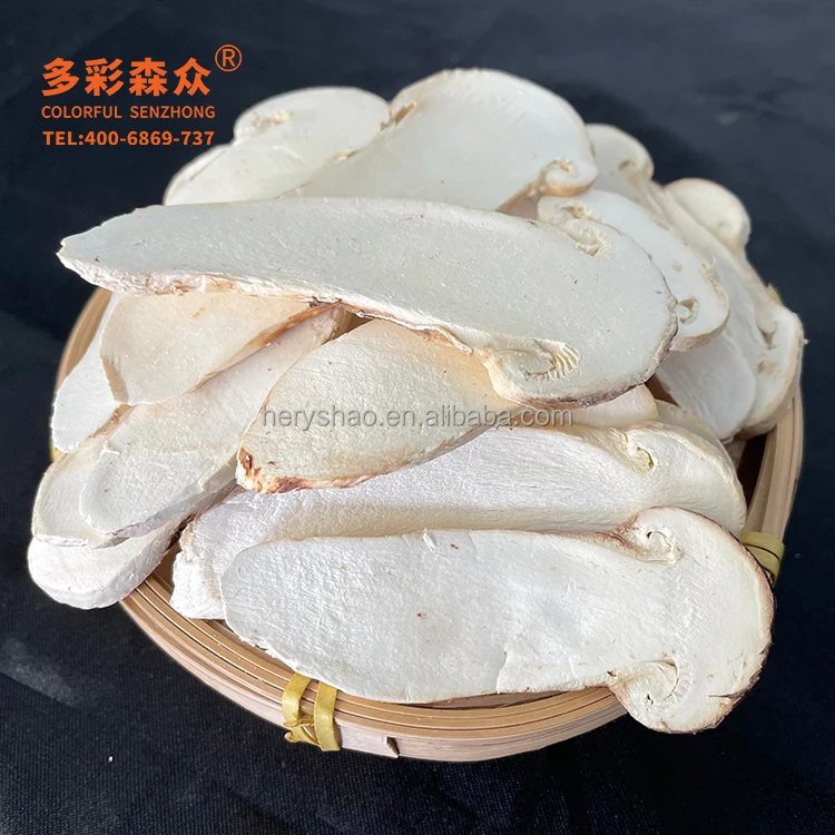 Yunnan, China is a rare wild edible fungus. Vacuum freeze drying is regarded as a treasure of mushrooms in Japan