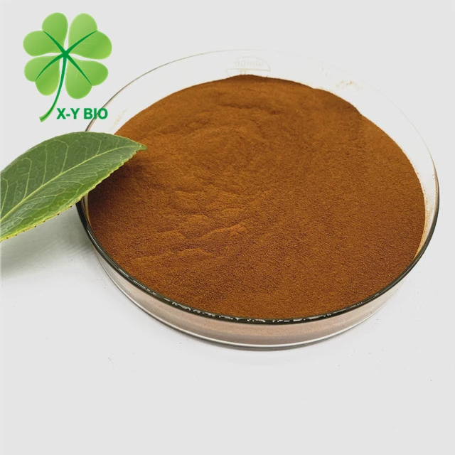 Best Quality Fulvic Acid Fertilizer Biochemical Fulvic Acid Powder