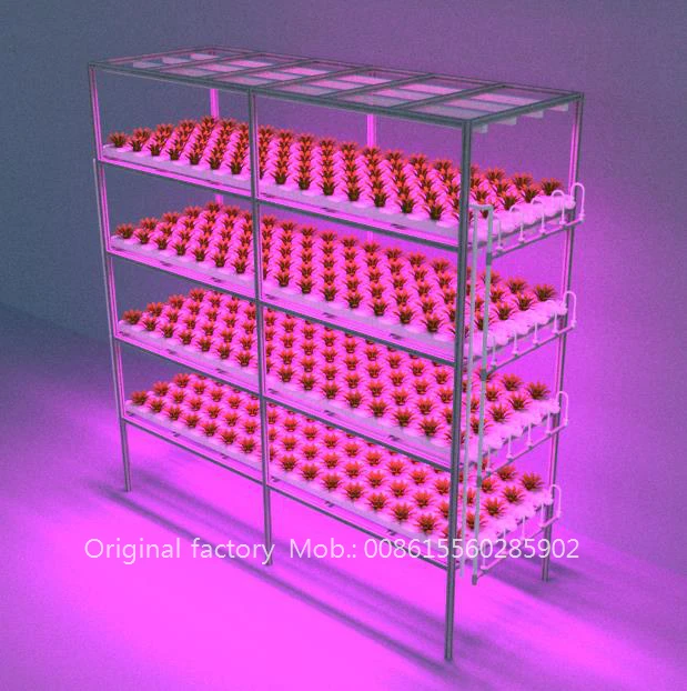 Brand new netpot nft grow room