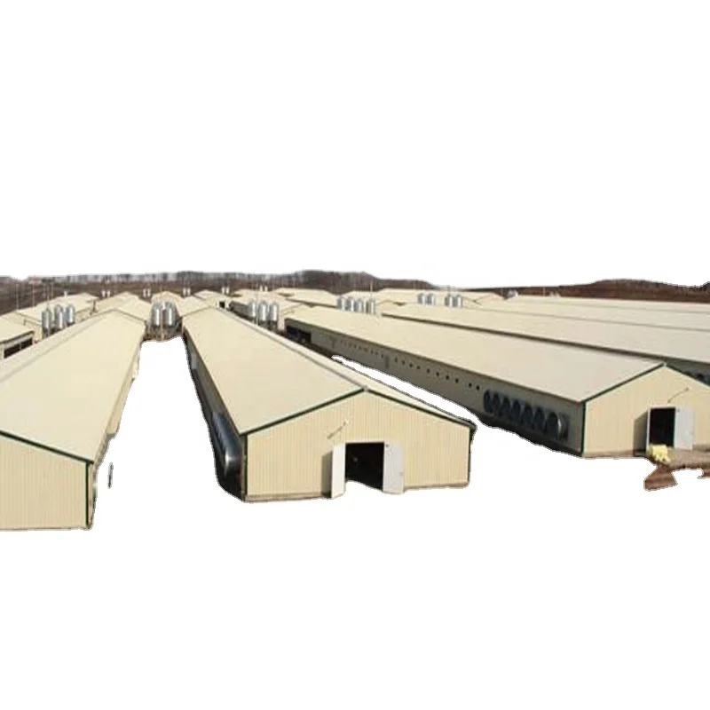 Стальная конструкция для птицеводства в индивидуальном стиле