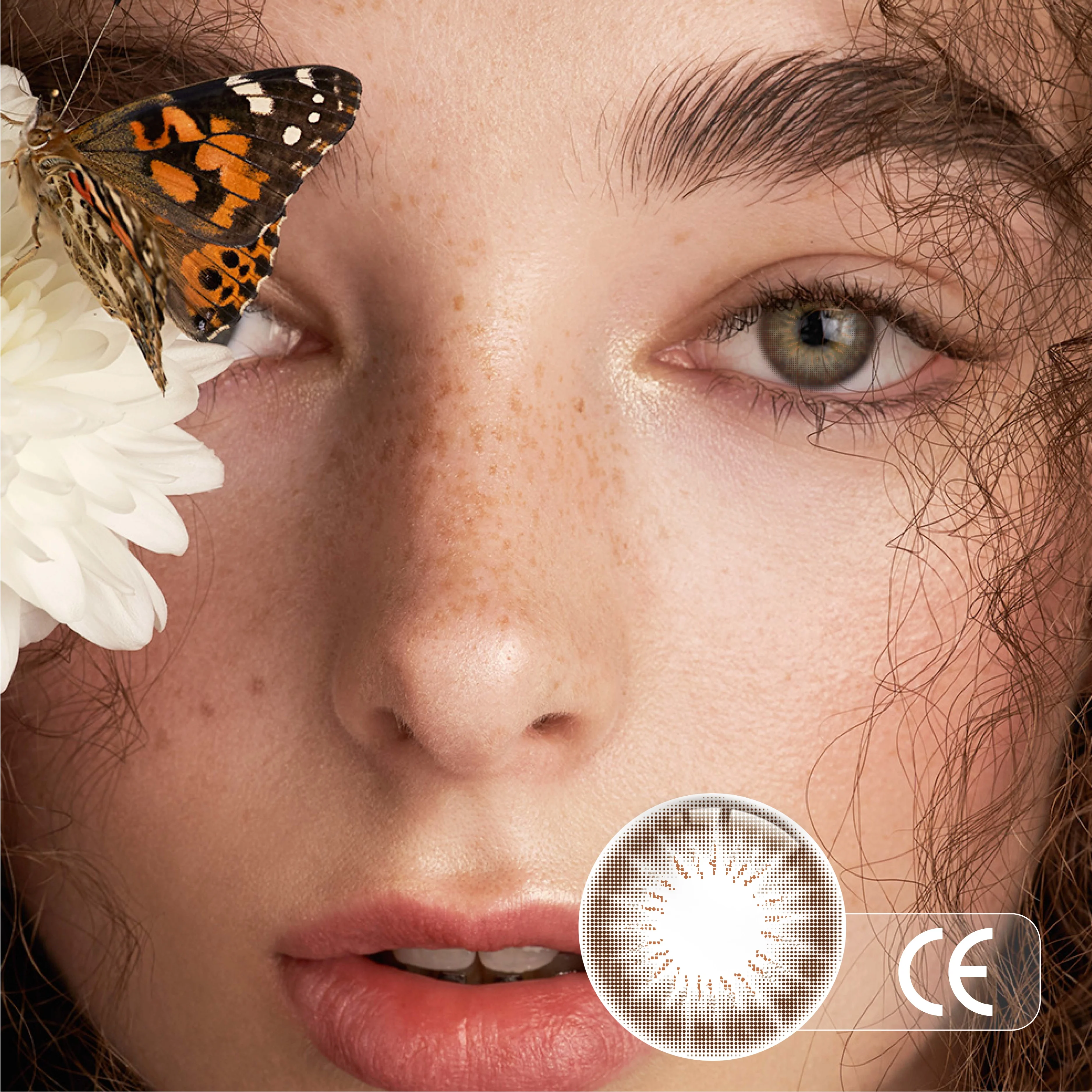 DB03 12 Colored Beauty color  Eye Contact Lenses Free Sample New Look Great Quality Contact Lens