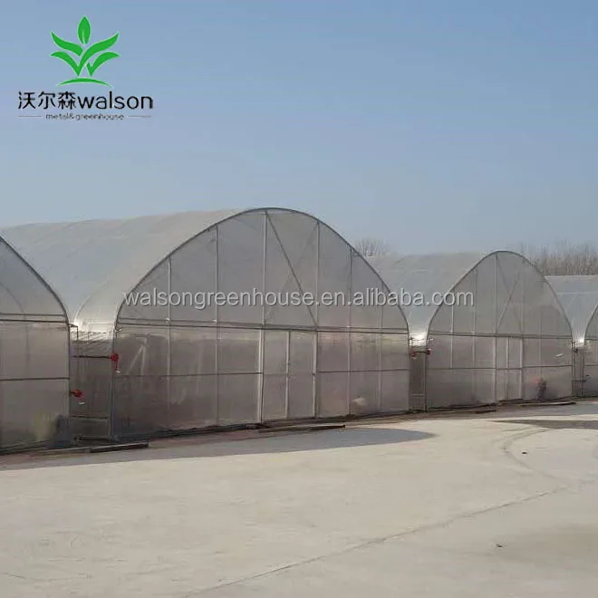 Venlo Type PC-sheet Tunnel Agricultural Greenhouse Kits With Hydroponic Systems For Sale