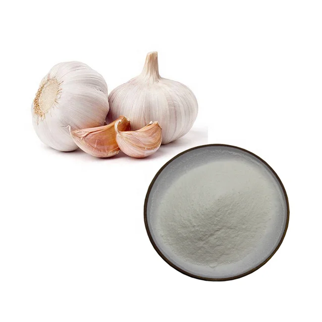 
Food Plant Extract Garlic Allicin Best Quality Garlic Extract Powder Garlicin 5% 