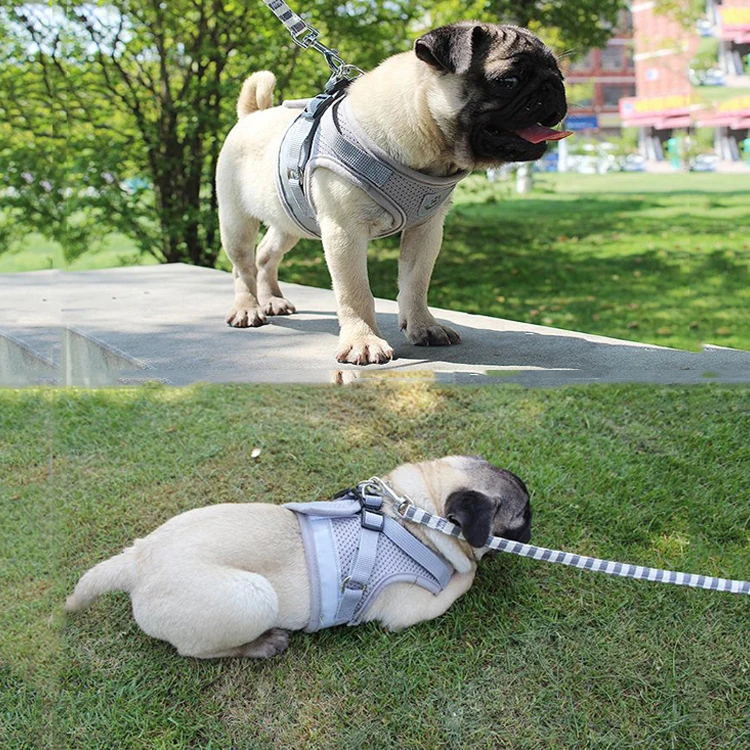 Manufacturer wholesale breathable red black blue grey nylon pet dog reflective harness