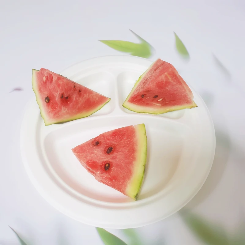 6 inches Disposable dinner plate biodegradable disposable plates sets dinnerware wholesaler