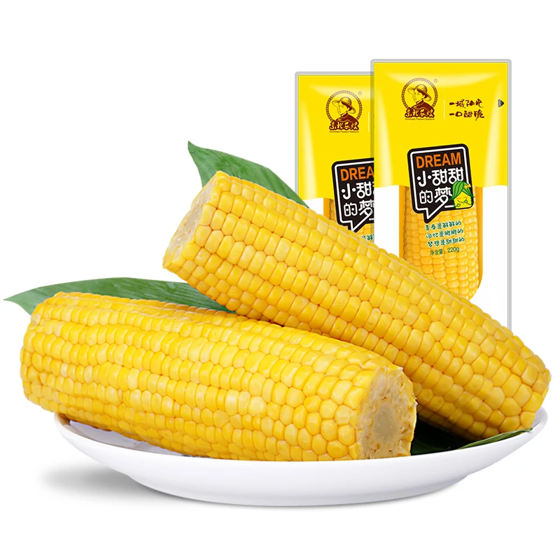 Sweet corn on the cob vacuum packaged