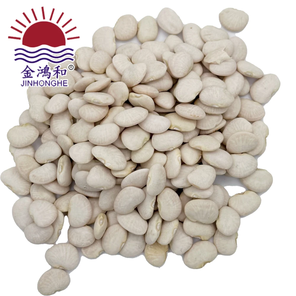 Canavalia ensiformis gladiata butter white kidney bean