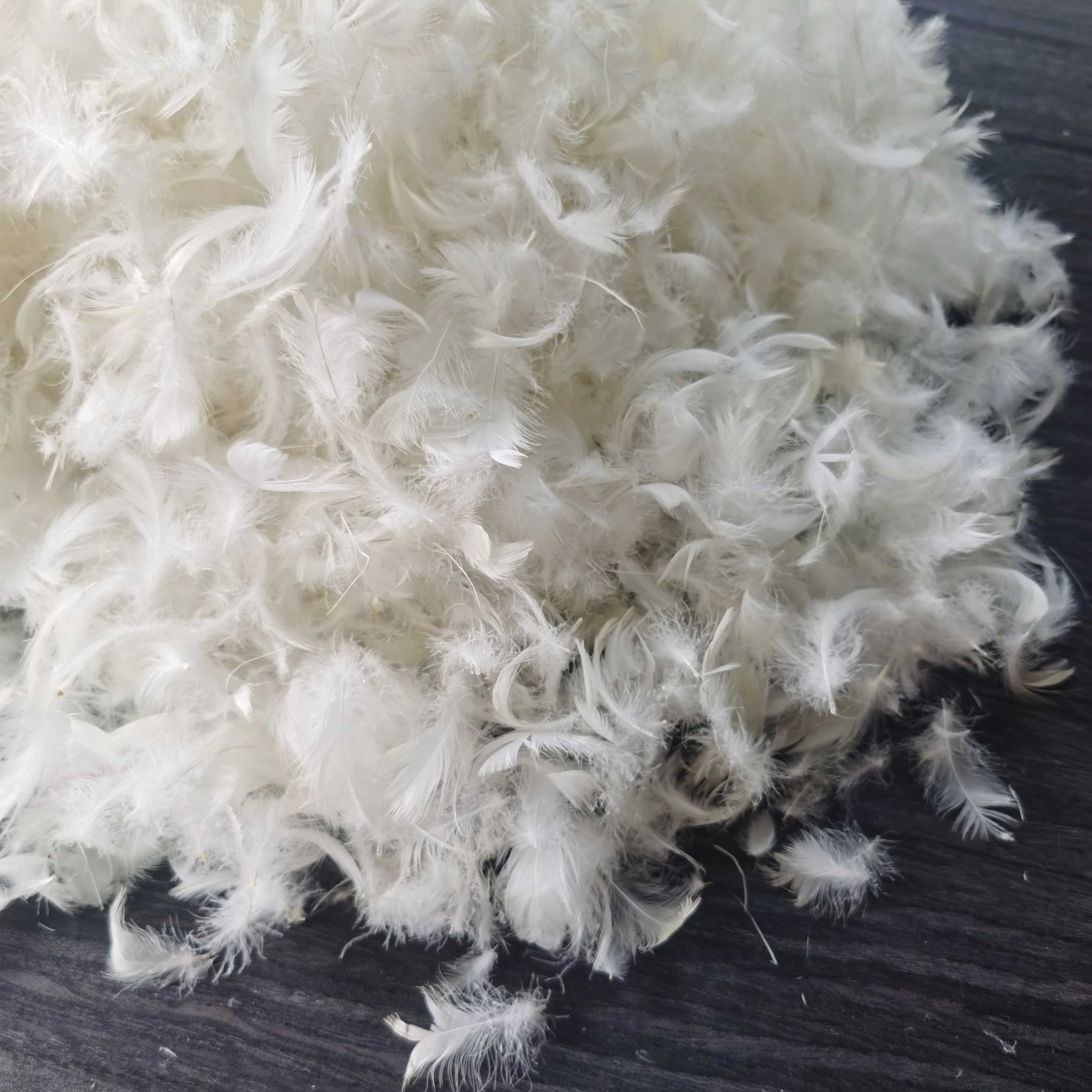 Wholesale Cheaper Price Buy Machine Washable Fill 90% White Goose Down Feather For Sale