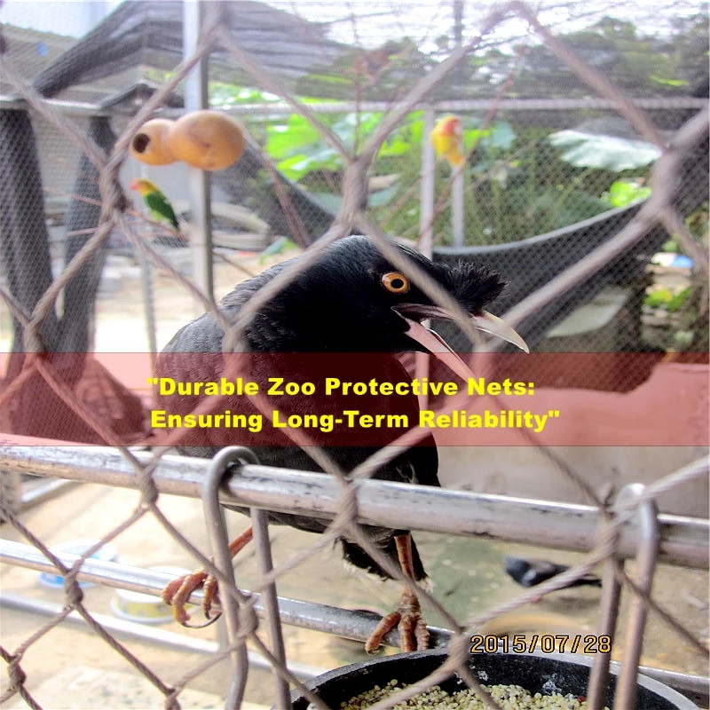 Supplier Good Aesthetic Bird Sanctuary Fencing For Wildlife Park