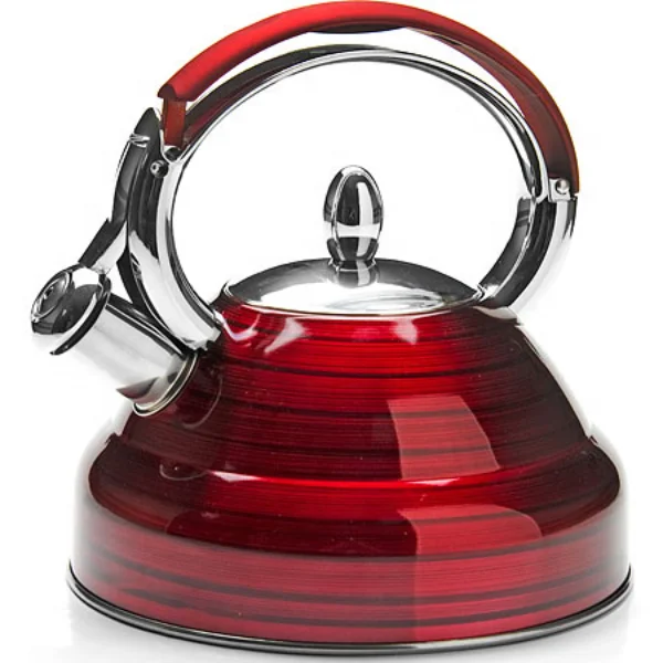 Оптовая продажа водонагреватель для ежедневного использования чайник из нержавеющей стали со свистком