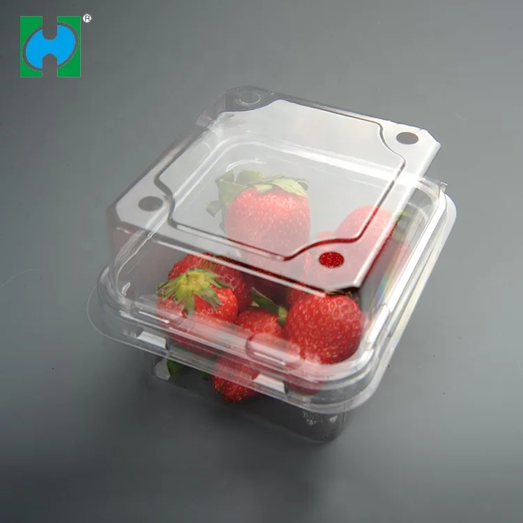 Custom Transparent Disposable Plastic Fruit Packaging Container Covers Lids Dry Containers