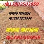 Guangzhou coconut palm net, coconut mat fiber net, coconut net geotextile are used for greening the mining area