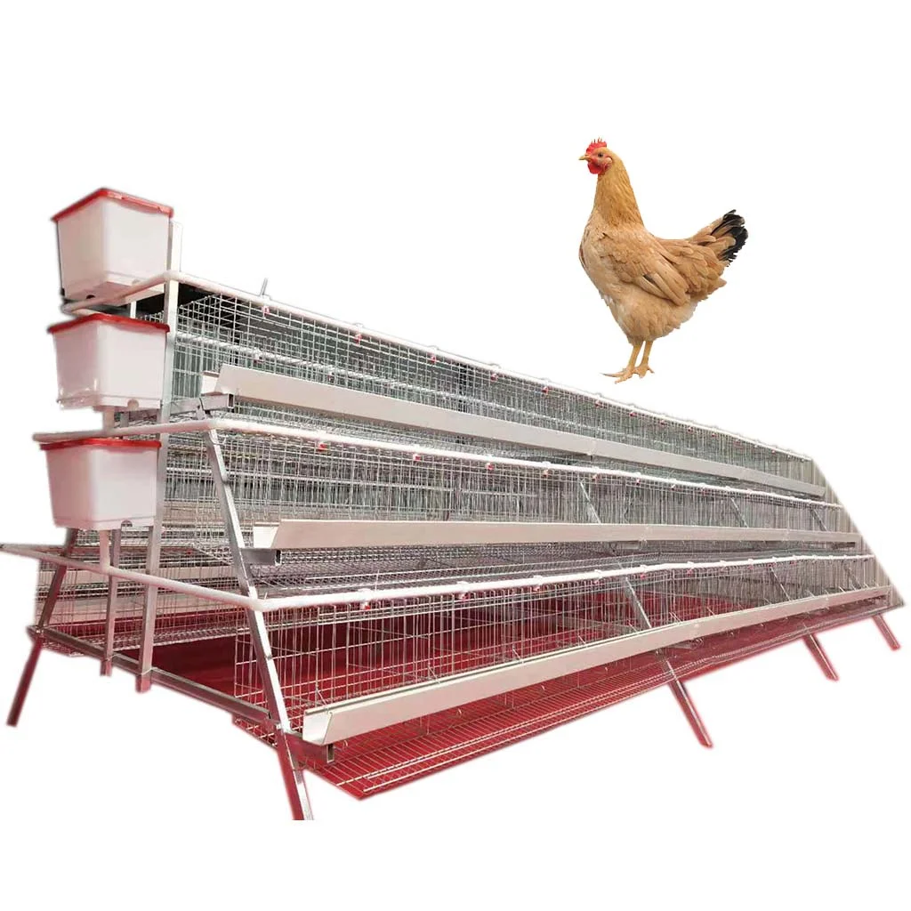 automatic chicken cage for sale in USA  for breeding cage chicken layer cage