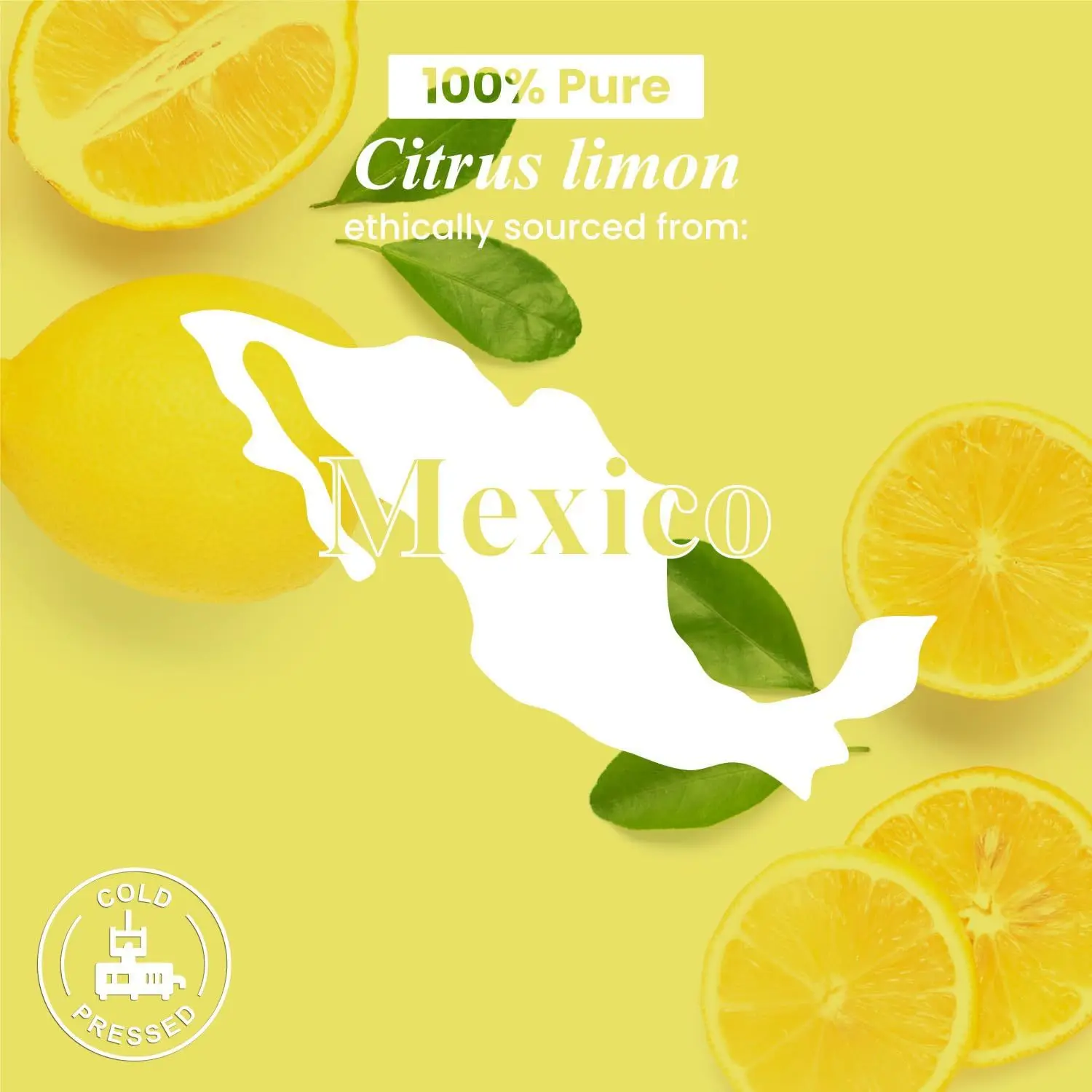 OEM Custom Private Label 100% Pure & Natural Cold Pressed Lemon Essential Oil Ginger Ingredient for Skin Care