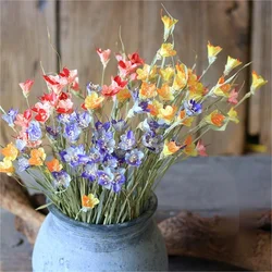 Handmade flowers mini dried flower bouquet materials Drunk the butterfly orchid flower