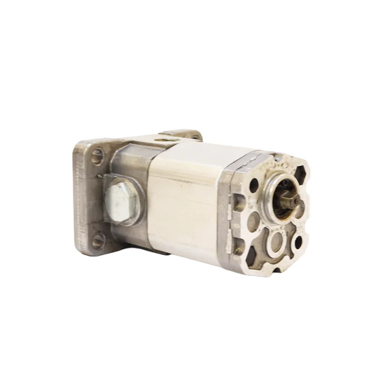 Chinese Manufacturer BKP0.5 0.19ml/r--2.00ml/r Micro Hydraulic Gear Pump