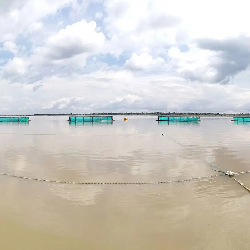 Производители капсул жира Глубоководных рыб чистая сельское хозяйство круглая клетка для Тиляпии