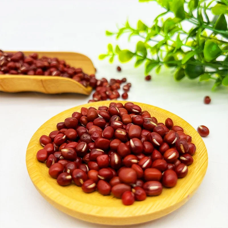 High Quality Dried Organic Round Type Small Red Adzuki Azuki Bean For Korean Bingsu