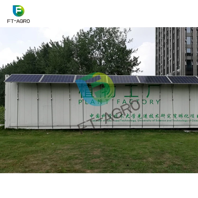 
Complete hydroponic NFT growing container vertical growing system container greenhouse 