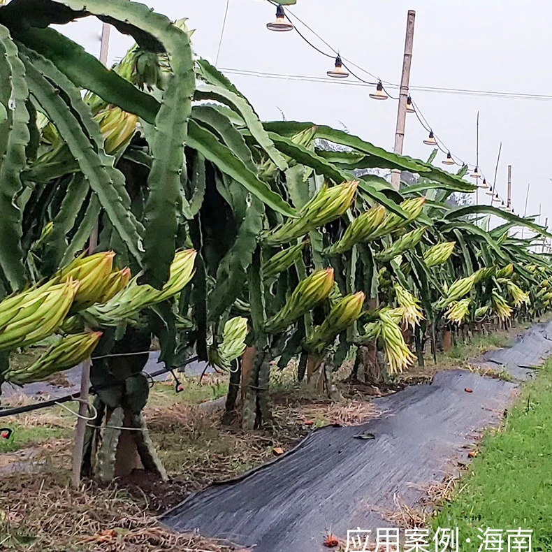 Agriculture special fill light E27 15W waterproof UFO bulb LED plant growth light greenhouse and outdoor use