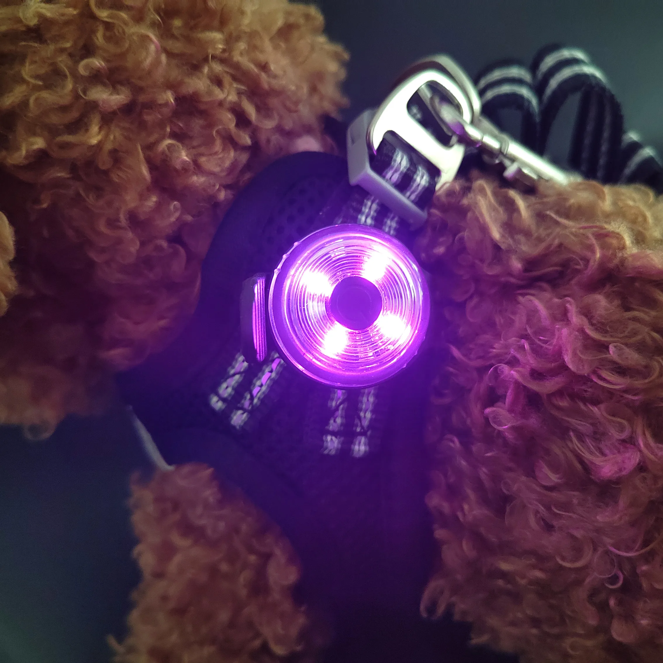 Новый индивидуальный логотип бренда UMIONE, водонепроницаемая батарея IPX6, пластиковая светодиодная подвеска в форме вишни для собак, светящаяся Подвеска для домашних животных