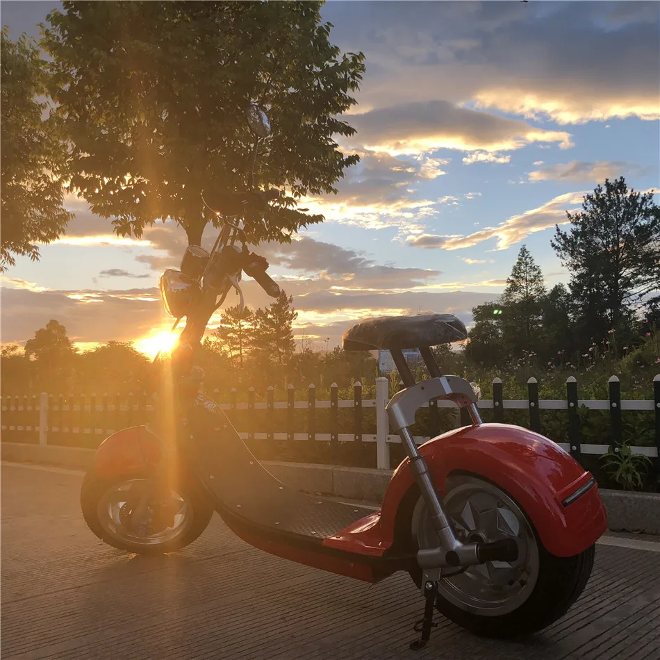 European Warehouse Stock Citycoco Scooter 800w 1000w 1500w Fat Tire Adult Electric Motorcycle with EEC