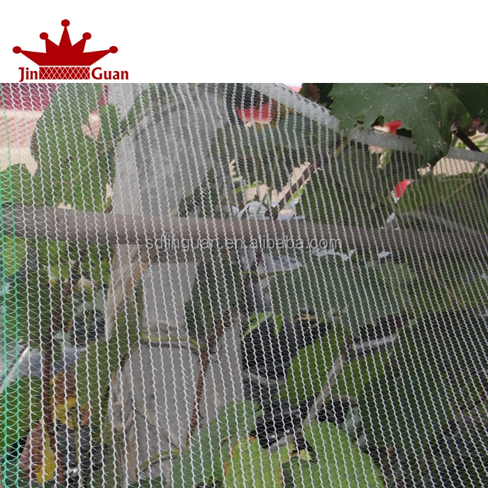 100% raw material HDPE hail net insect net