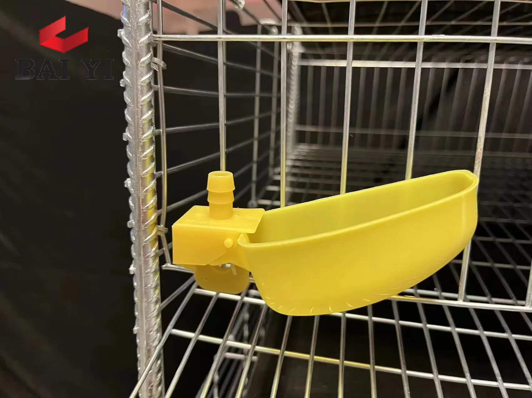 Poultry Shed Galvanized Wire Mesh Cages of Quails