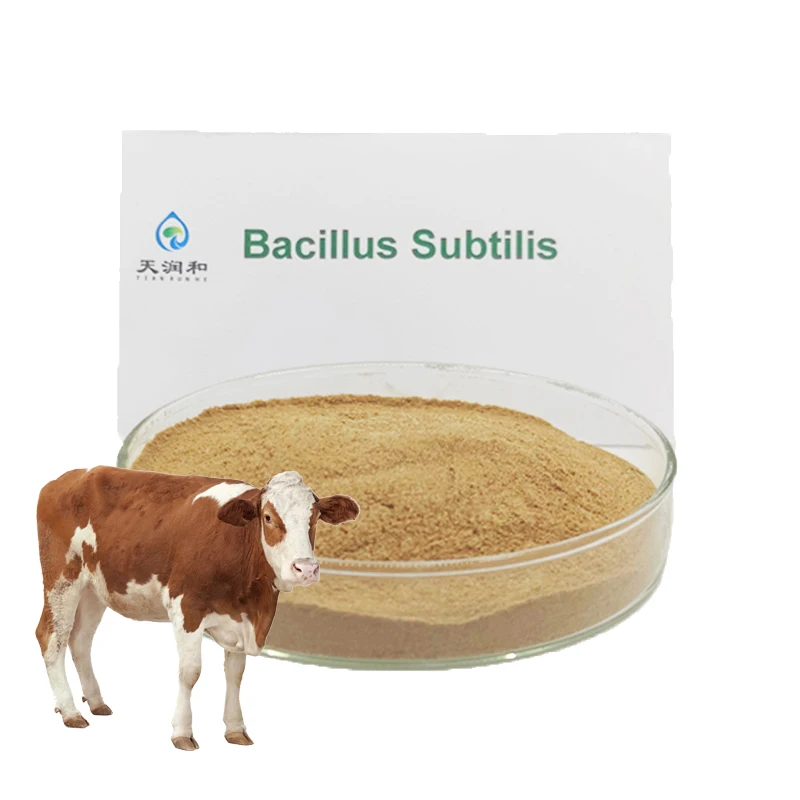 probiotics sheep bacillus subtilis