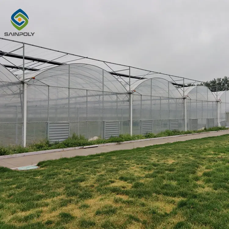1 acre greenhouse pvc film green house for tomato growing