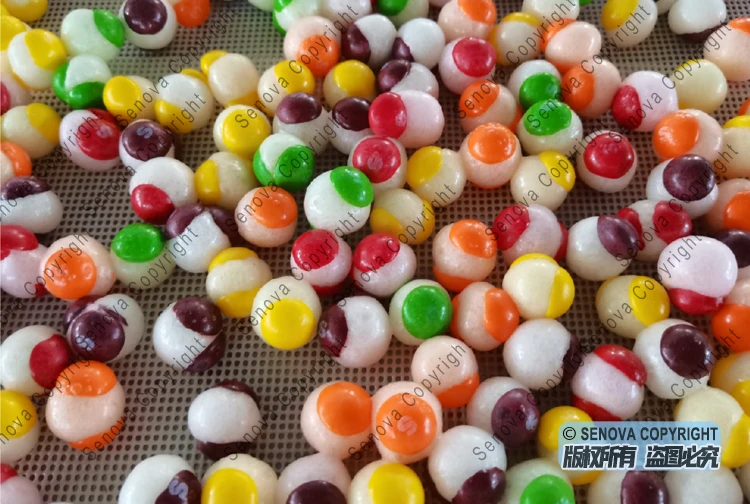 Candy Sweets Ice Cream Desserts Food Small Mini Freeze Dryer Lyophilizer