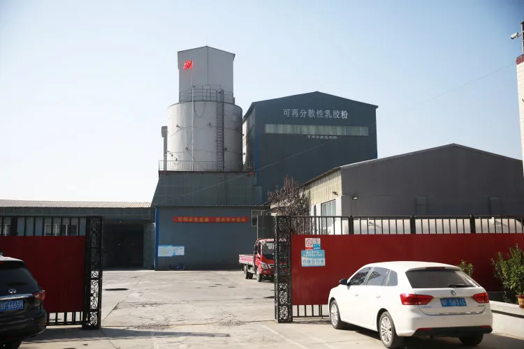 tertiary vinyl carbonate, ethylene and vinyl acetate   Redispersible polymer Powder RDP