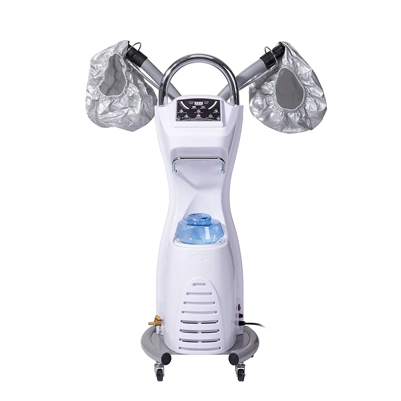 Professional hair salon Ozone micro mist hair steamer 850W Hair Treatment
