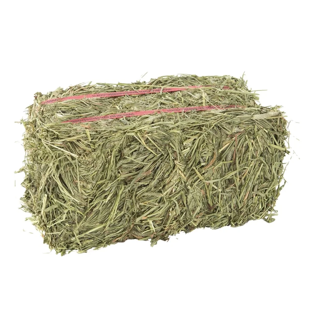 Alfalfa Hay / Alfalfa For Animal Feed For Sale Top Grade In Bulk