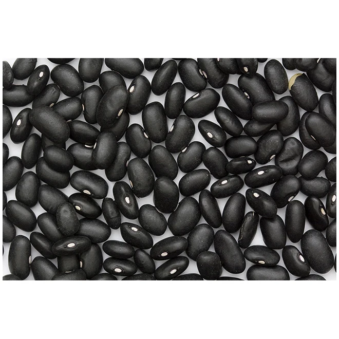 Conventional Premium Black Kidney Beans - High Quality, Best Price, Directly From Producers In Mexico