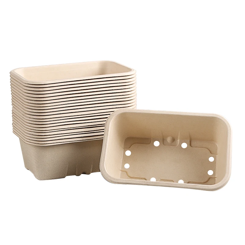 Eco Friendly Biodegradable Bagasse Cherry Blueberry Tomato Strawberry Fruit Packaging Box Tray With Drain Hole