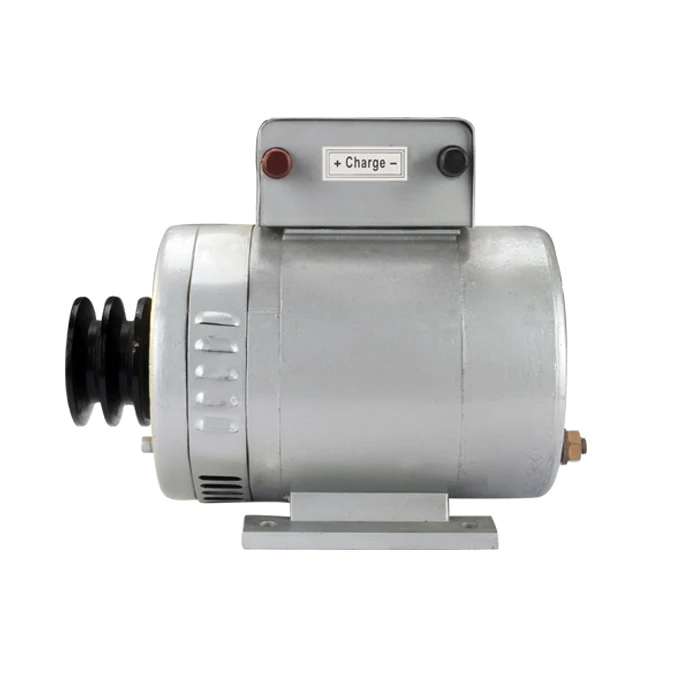 
silent diesel electricity generation DC brushless multi-functional generator prices for welding 