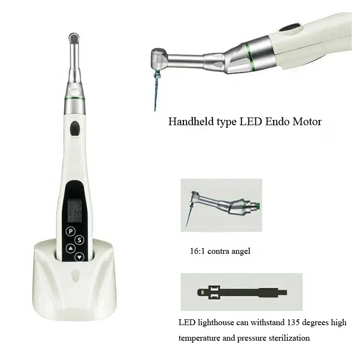 Newest Style Dental Endodontics Led Root Canal Endo Motor