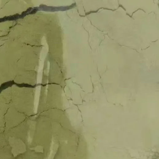 Trichoderma Harzianum wp Powder trichoderma harzianum t22 for agricultural