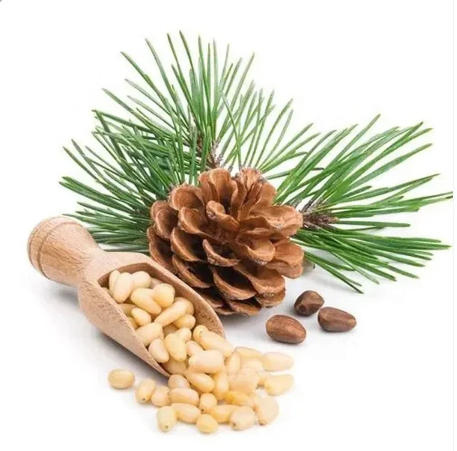 Supplier Wholesale Organic Pine Nuts Kernel Cheap Price Pine Nuts Kernels 1000 Count