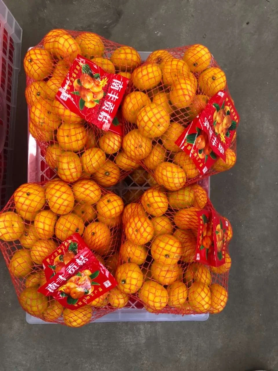 2020 new crop sweet taste fresh baby mandarin