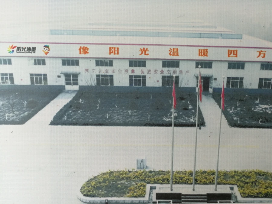 chlorinated polypropylene resin is mainly used as a binder cpp resin for printing inks and plastic coatings