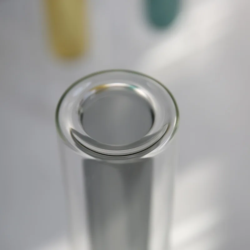 Handmade modern minimalist propagation bubble clear glass double wall plant cuttings flower hydroponic bud vases