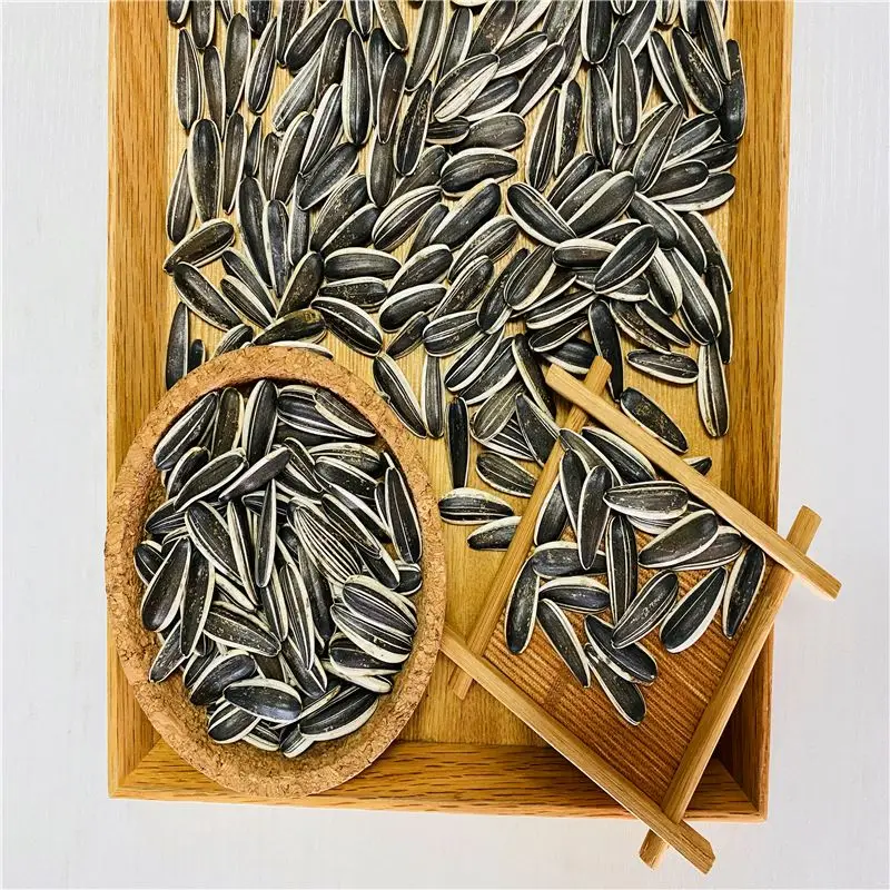 Xinjiang Melon Seeds Sunflower 363