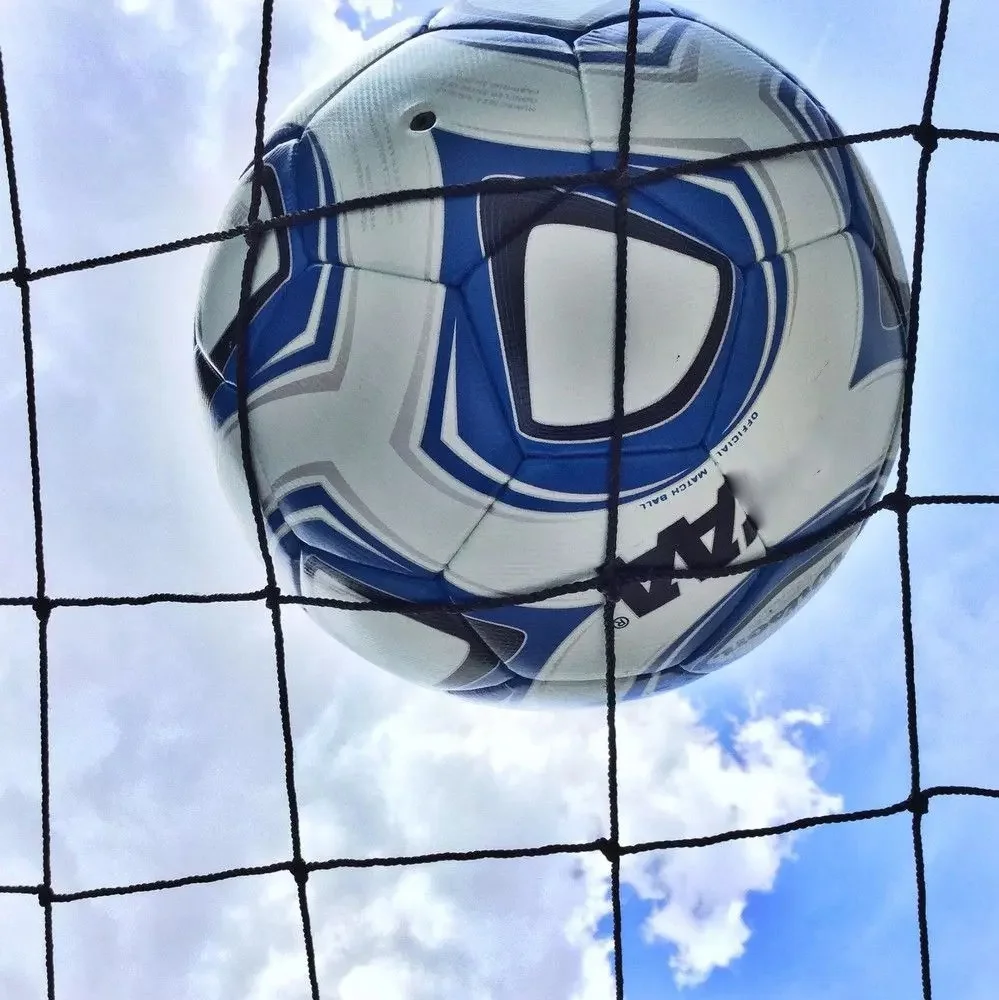 Factory Direct High Quality Net Fence Garden Football Soccer Safety Net Sports Barrier Netting
