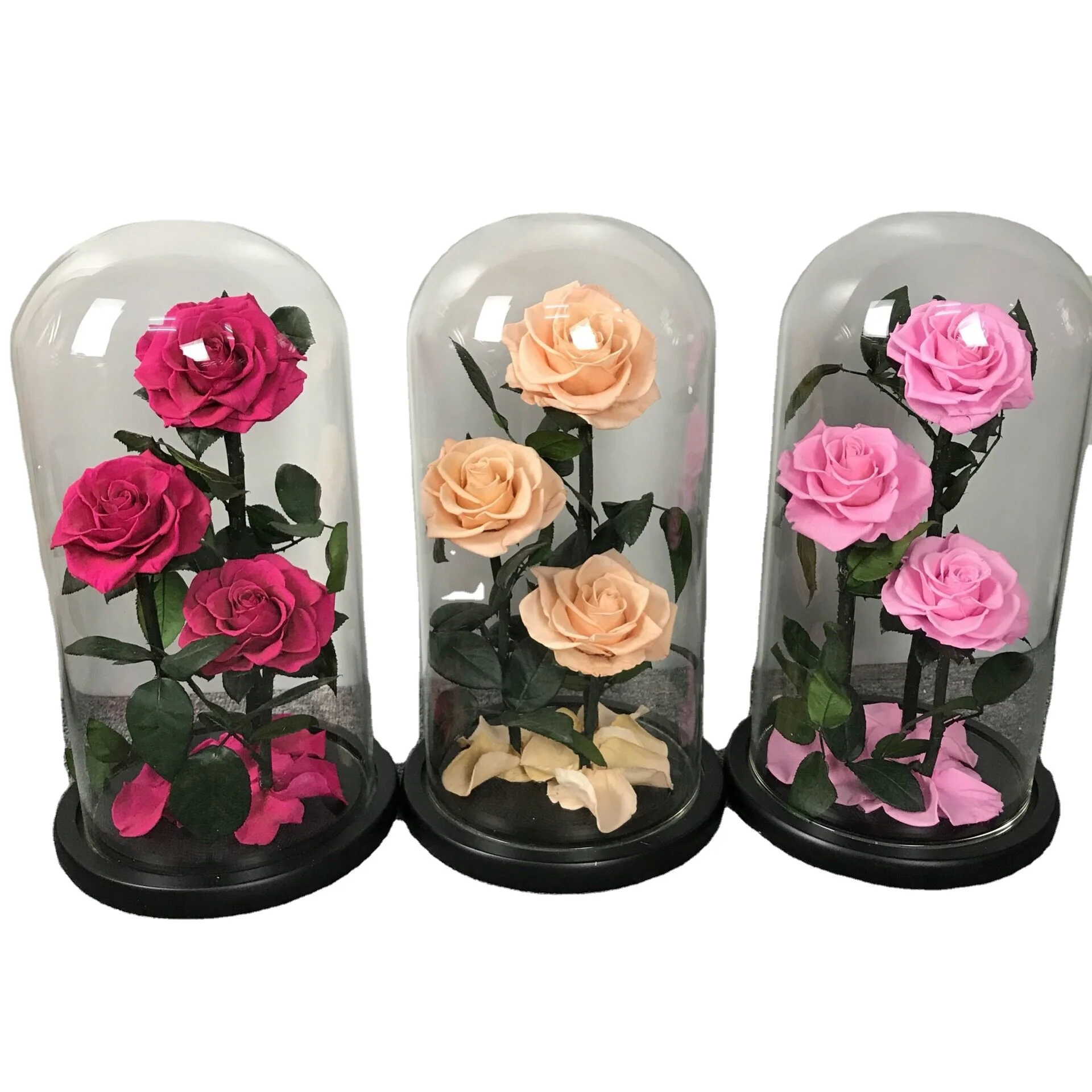 
New design wholesale preserved roses preserved flower for mothers day 
