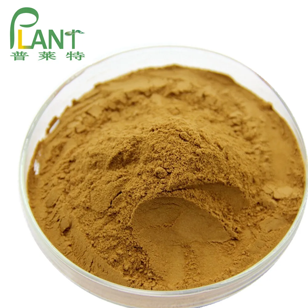 
PLANTBIO Supply High quality Natural seabuckthorn leaf extract powder 