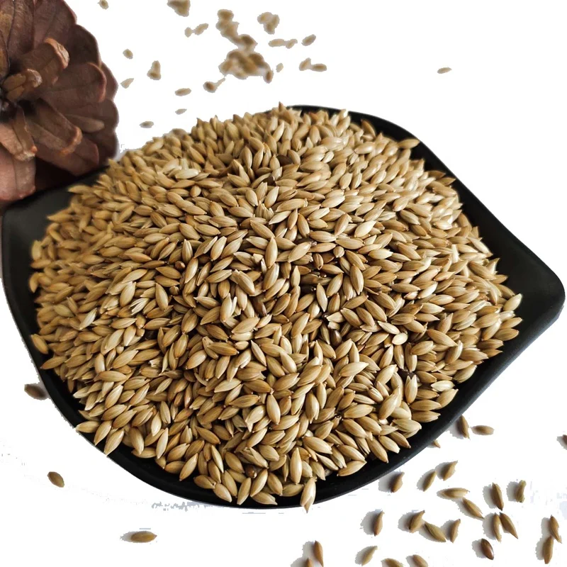 Новинка, Лидер продаж, семена Канарских канареек для корма птиц оптом