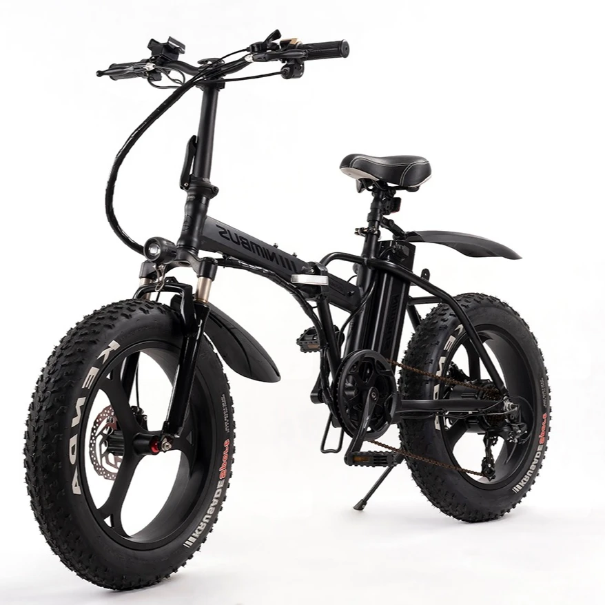 Складной электрический велосипед, высокое качество, под заказ, 48 В, 80 нм, 250 Вт, алюминиевый сплав, 20 дюймов, 4,0 дисковый тормоз, электровелосипед