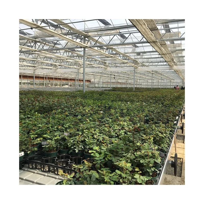 4*8 Rolling Benches Hydroponic Ebb and Flow Tray for Greenhouse Ebb and Flow Table